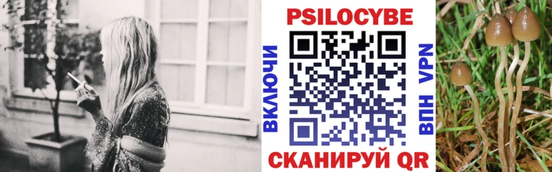 Псилоцибиновые грибы мухоморы  наркота  Благовещенск 
